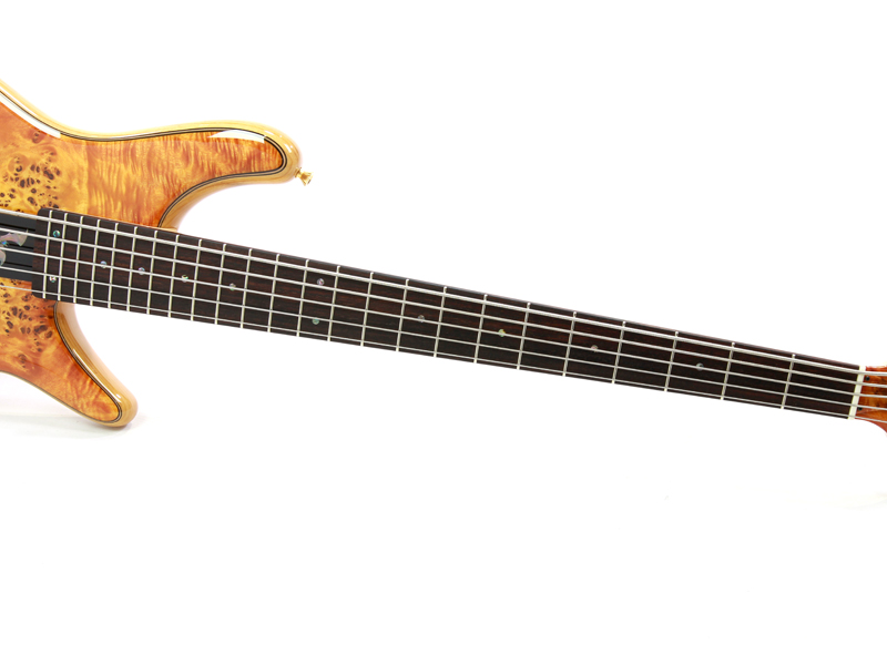 Caramel's Guitar Kitchen×RiseGuitarPickups×島村楽器限定