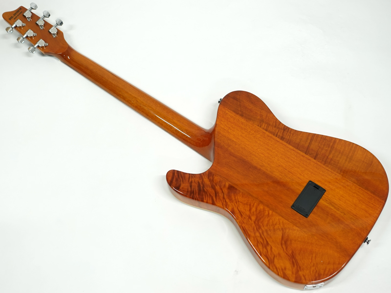 SCHECTER シェクター Oriental Line OL-FL / BLK < Used / 中古