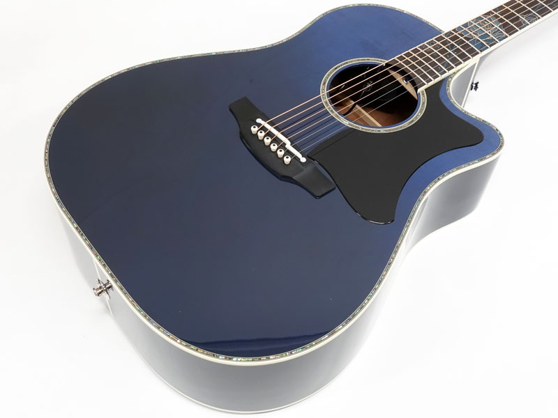 TAKAMINE タカミネ LTD2021 - Blue Rose - | ワタナベ楽器店 大阪店