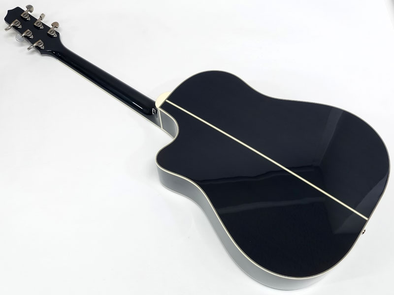 TAKAMINE タカミネ LTD2021 - Blue Rose - | ワタナベ楽器店 大阪店