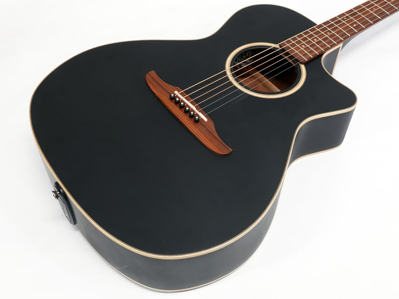 Fender フェンダー Newporter Special / Mattle Black