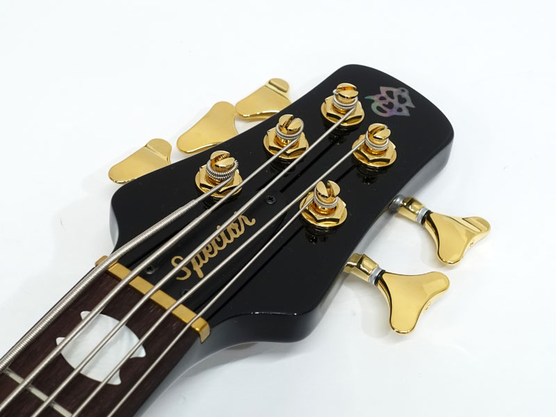 SPECTOR EURO 5 Classic / Solid Black Gloss 20%OFF