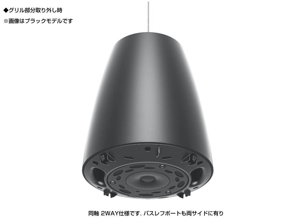 Bose ブラック スピーカー　DM3P 1ペア　ペンダント型 DesignMax DM3P | Bose Professional