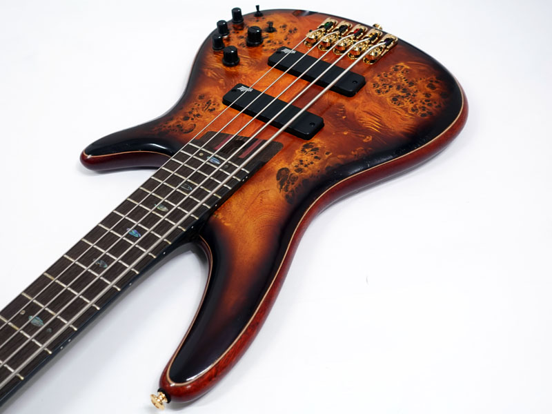 ギター Ibanes Open Box Ibanez Premium SR1605DW 5-String Electric Bass