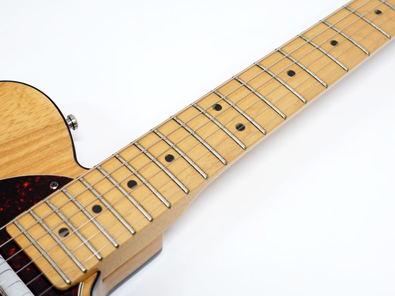 Fender フェンダー 90's Telecaster Thinline / NAT 2000年製