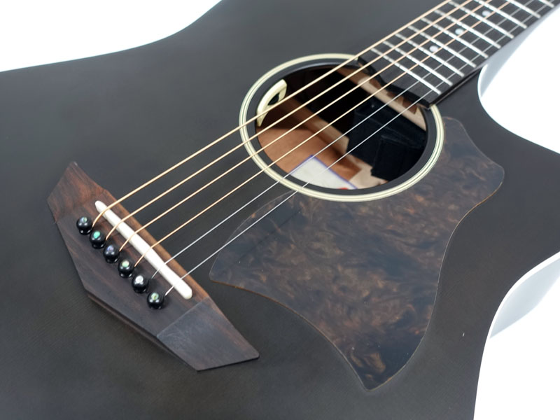 FgN フジゲン AG1E / TDF < Used / 中古品 > | ワタナベ楽器店 大阪店