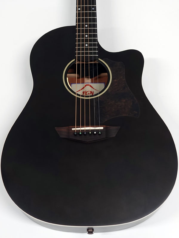 FgN フジゲン AG1E / TDF < Used / 中古品 > | ワタナベ楽器店 大阪店