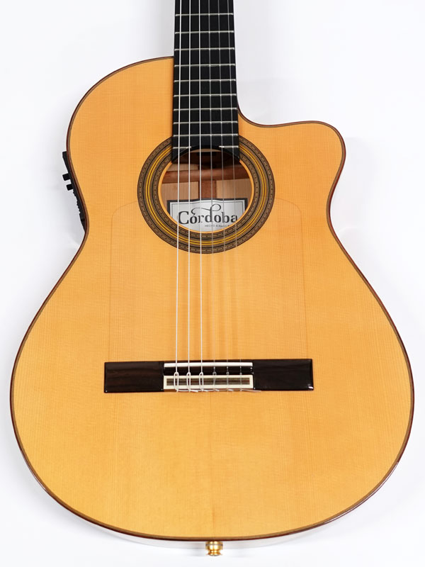 スペイン製 CORDOBA カーペット Cordoba FCWE Reissue < Used / 中古品 > | ワタナベ楽器店 大阪店