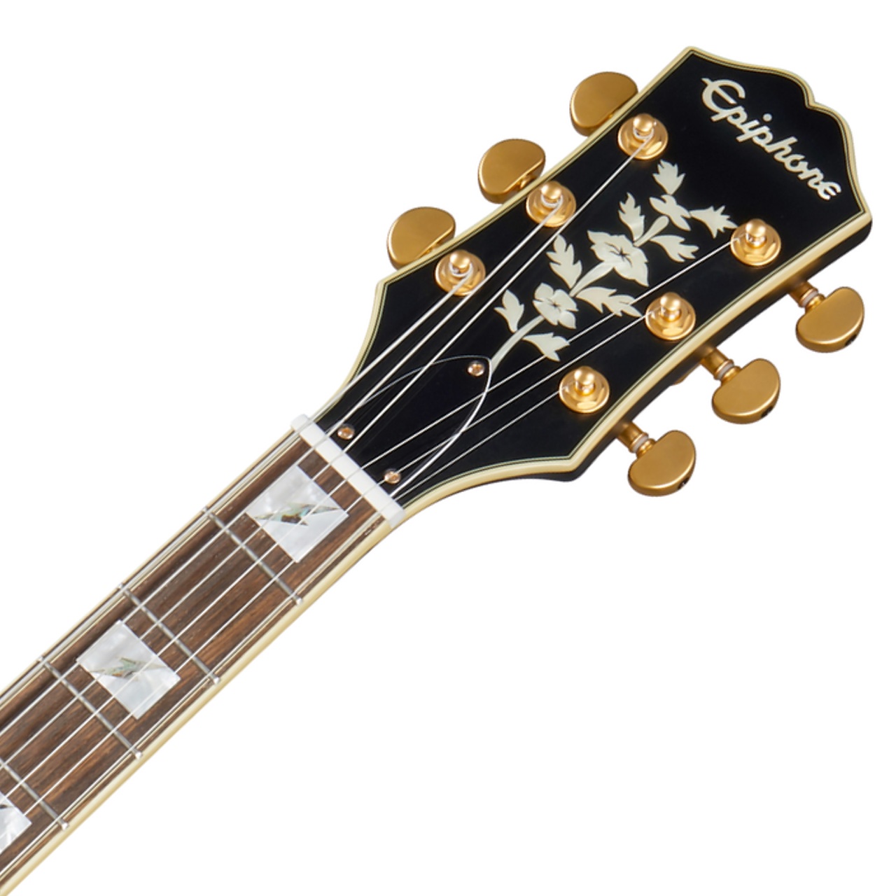 Epiphone Emily Wolfe Sheraton エミリー・ウォルフ Epiphone エピフォン Emily Wolfe Sheraton Stealth エミリー