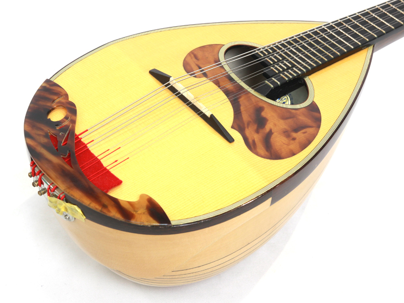 弦楽器 CALACE CLASSICO B CALACE（カラーチェ） クラシコB 1994年製 | ワタナベ楽器店