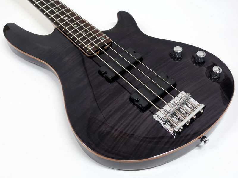 SCHECTER シェクター JOL-CT-B-4 / STBK | ワタナベ楽器店 大阪店