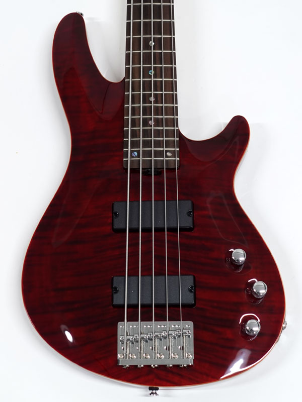 SCHECTER シェクター JOL-CT-B-5 / BKCH | ワタナベ楽器店 大阪店 SCHECTER シェクター JOL-CT-B-5 / BKCH | ワタナベ楽器店 大阪店