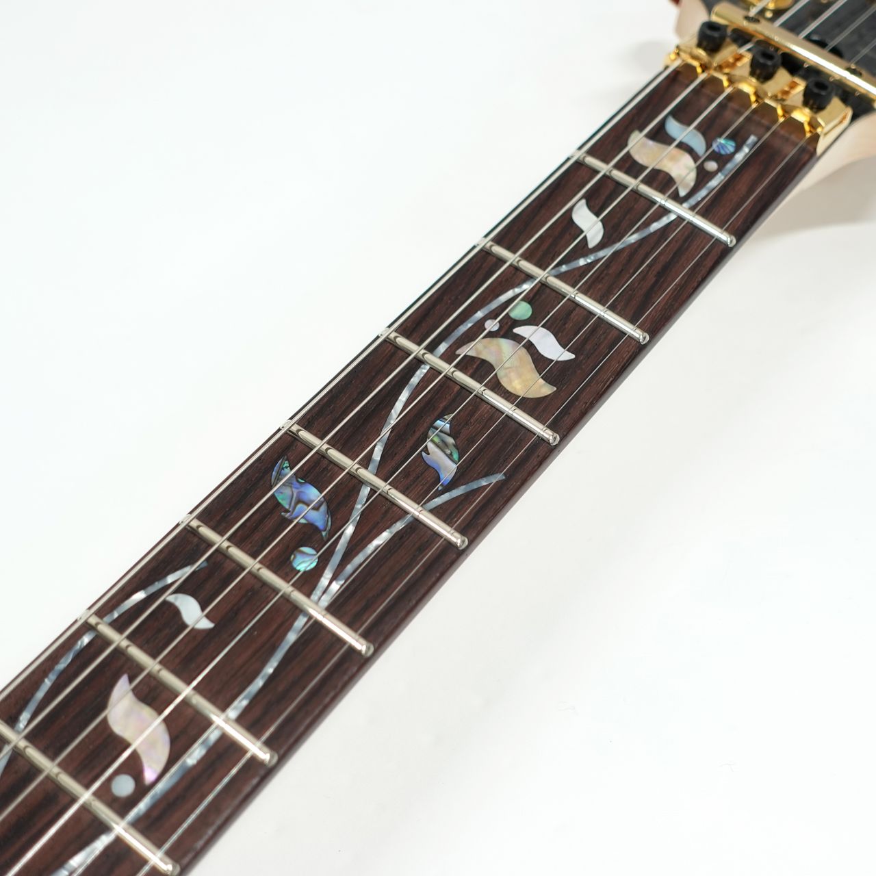 Ibanez アイバニーズ RG8020G / Black Quartz | ワタナベ楽器店
