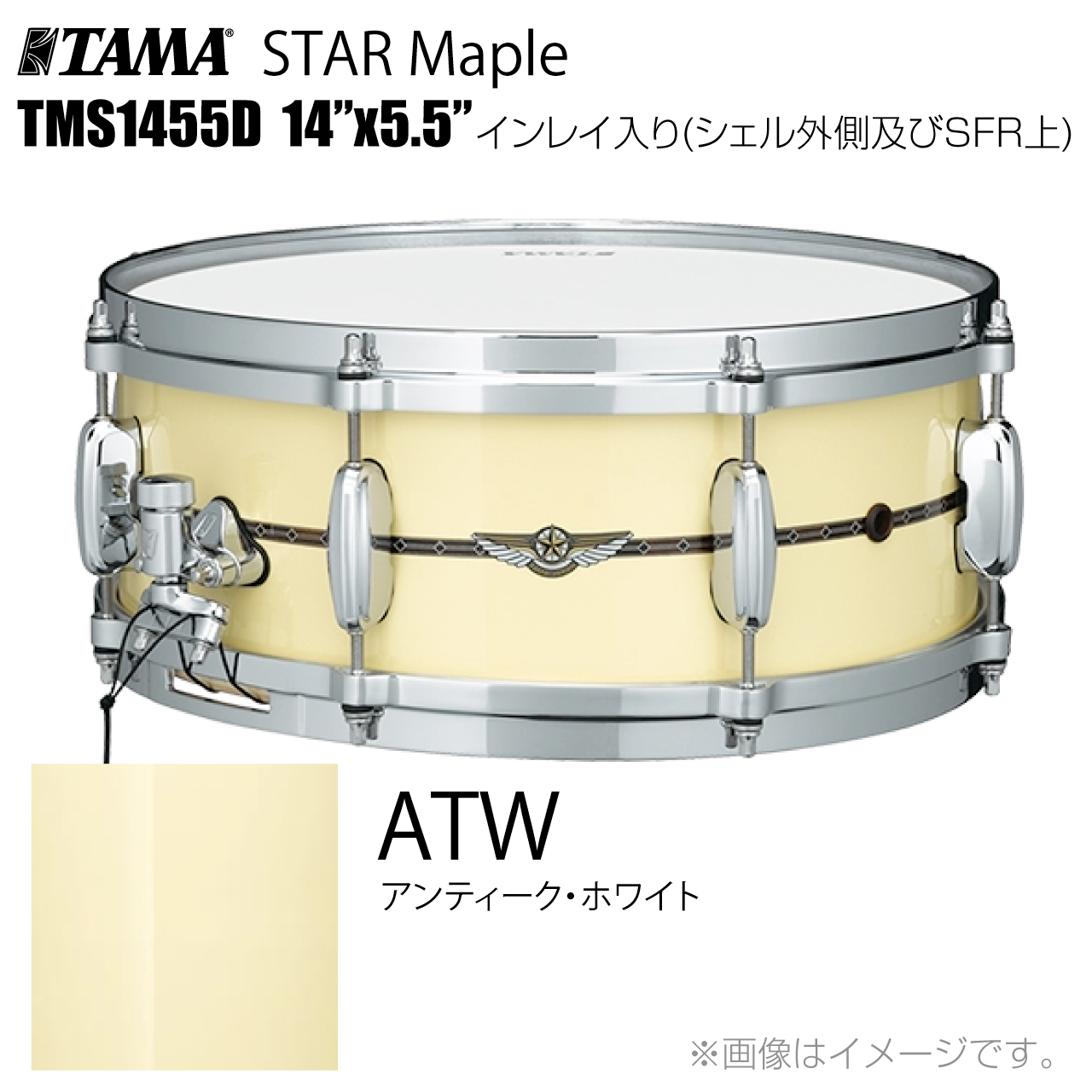 ※ドラム　2枚　Roy&Enid / Maytals TAMA PE1445 [Peter Erskine Signature Snare Drum 14