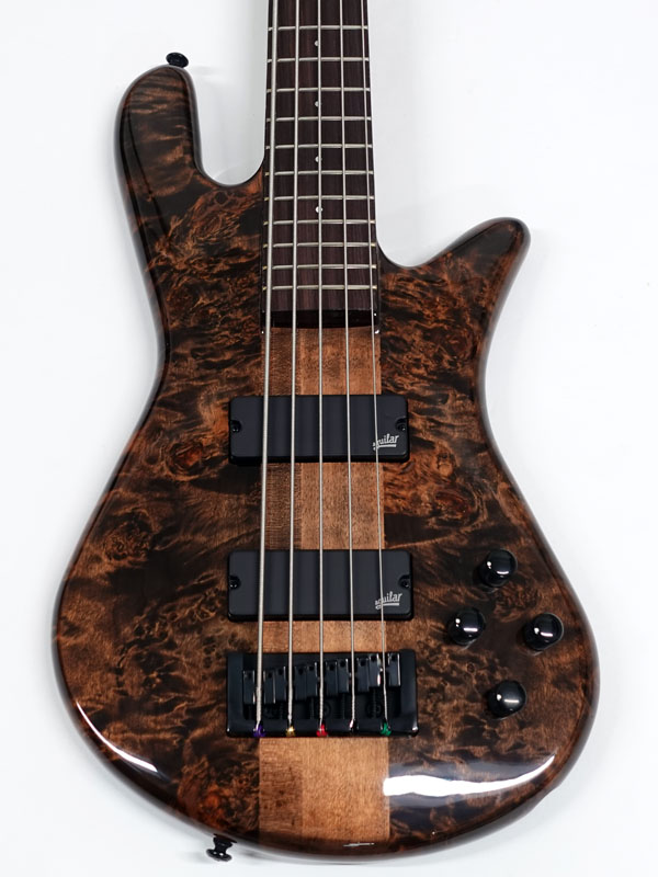 SPECTOR NS Ethos 5 Super Faded Black Gloss【スペクター 5弦