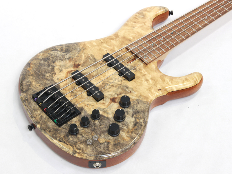 dragonfly CJ5/345 Custom Buckeye Burl / A Mahogany【国産 5弦