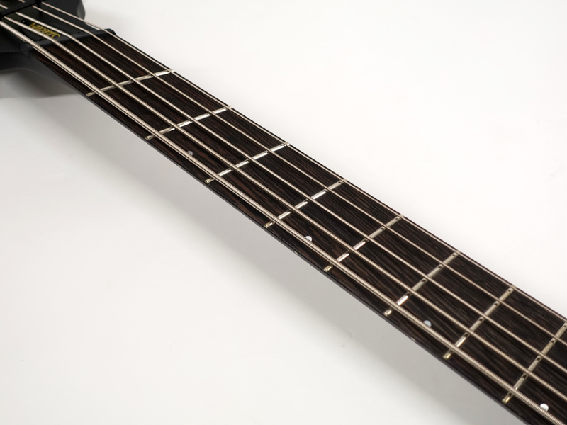 SPECTOR NS Dimension 5 Haunted Moss Matte スペクター 5弦