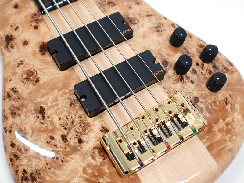 SPECTOR EURO 5 LX Poplar Burl Natural Gloss 【ヨーロッパ製