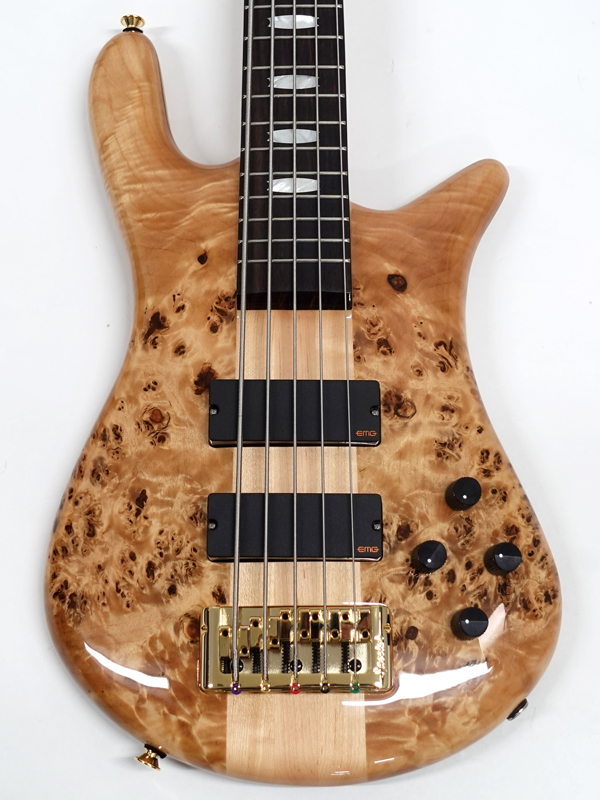 SPECTOR Legend5 Classic Natural Gloss【スペクター 5弦ベース