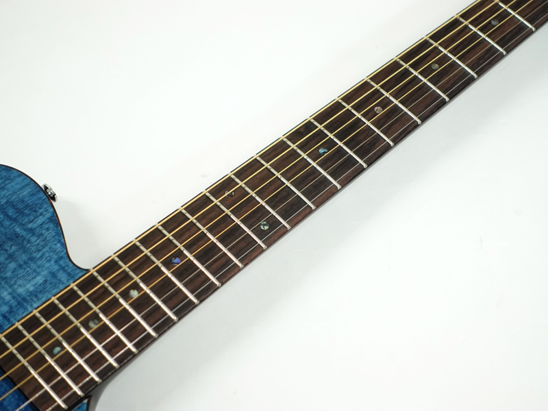 SCHECTER OL-FL SSG Oriental Line シェクター 薄胴 アコースティックギター Fホール エレアコ サテン サー 