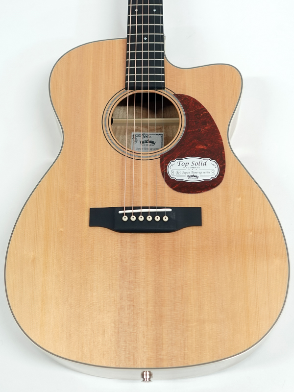 Headway ( ヘッドウェイ ) HOC-V090SE/FMY NA | ワタナベ楽器店 大阪店