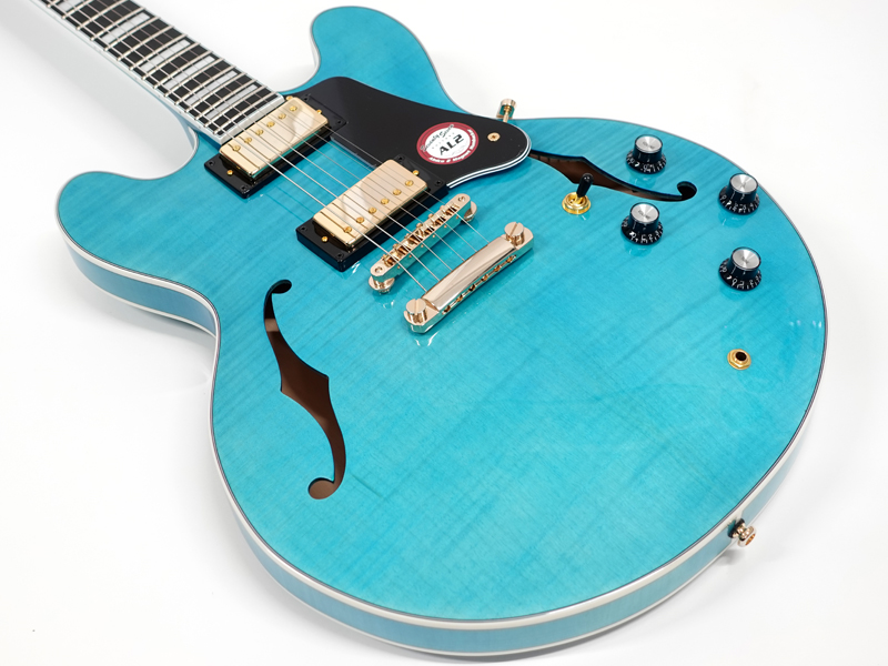 ギター 76VintageDYNACOMP Amazon.com: Jackson X Series Dinky Arch Top DKAF8 MS