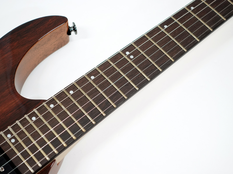 Ibanez／RG3070BR-NT、RG3021BR-NT】超貴重なハカランダを贅沢に