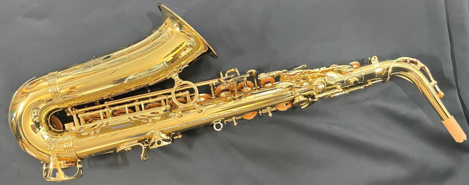 YANAGISAWA ヤナギサワ A-40 A-4 Prima アルトサックス ケース付