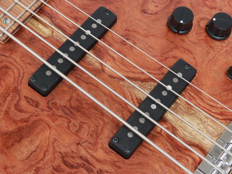 dragonfly CS5/345 CUSTOM BUBINGA/LIGHT ASH | ワタナベ楽器店