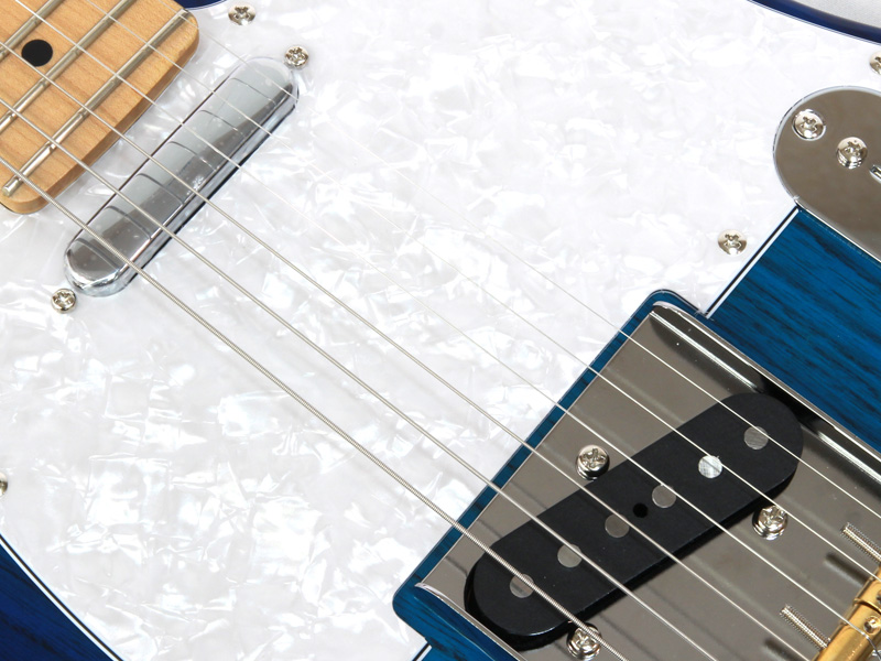 FGN テレキャスター NTE10MAH SBB Neo Classic Neo Classic TE / FGN Guitars