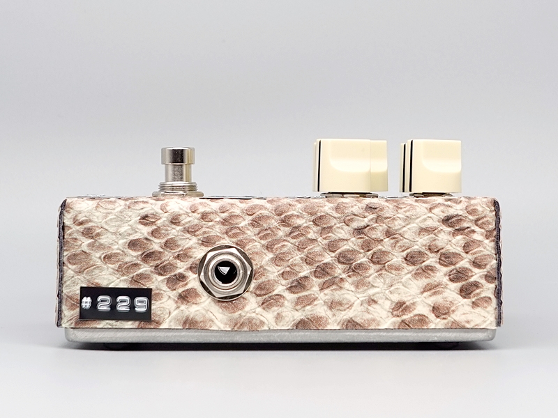 Shin's Music SNAKE COMP PLUS / SNAKE BLUE オーダーカラー