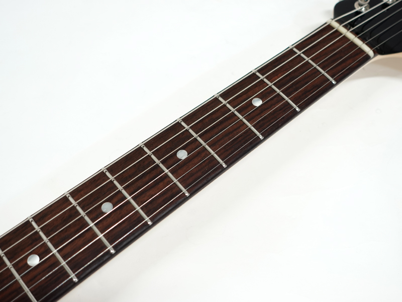 Freedom Custom Guitar Research C.S. EZa 24F Proto / Black 【OUTLET