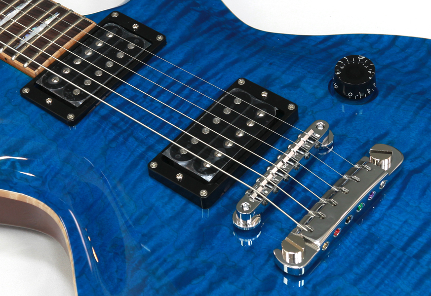 FgN フジゲン Expert EFL-FM Emerald Blue | ワタナベ楽器店