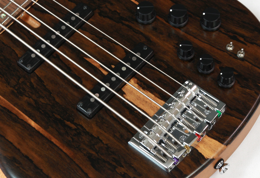 dragonfly CS5/345 CUSTOM ZIRICOTE/MAHOGANY | ワタナベ楽器店