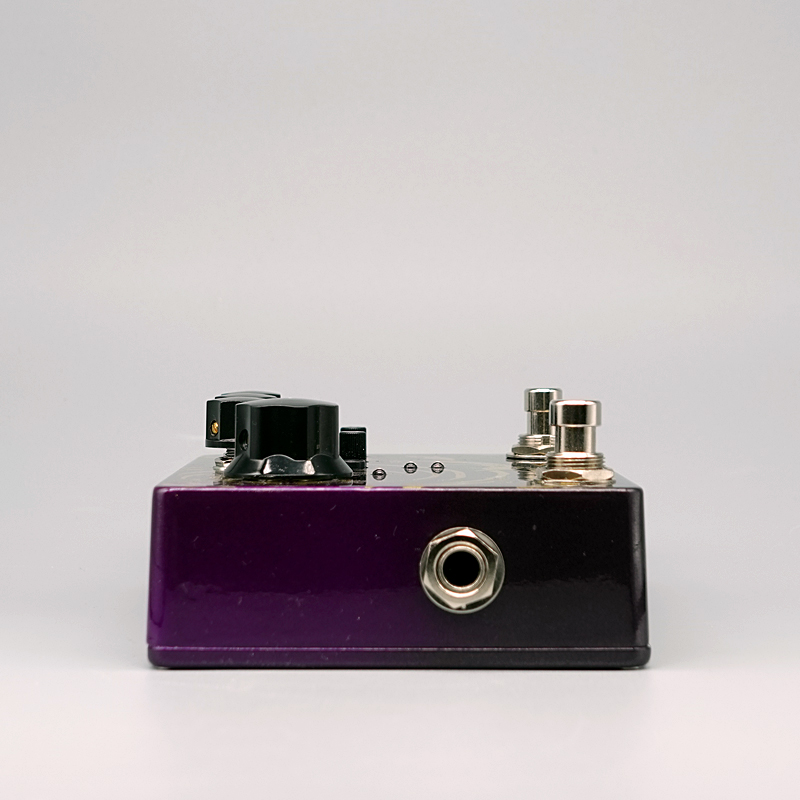 ギター Sunfish Audio / Autoscopy Sunfish Audio サンフィッシュオーディオ Autoscopy 