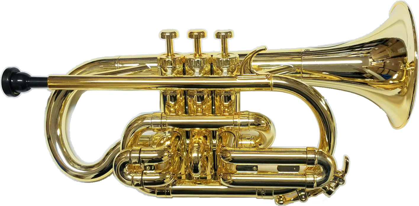 ZO ゼットオー コルネット CN-08 シャンパンゴールド アウトレット