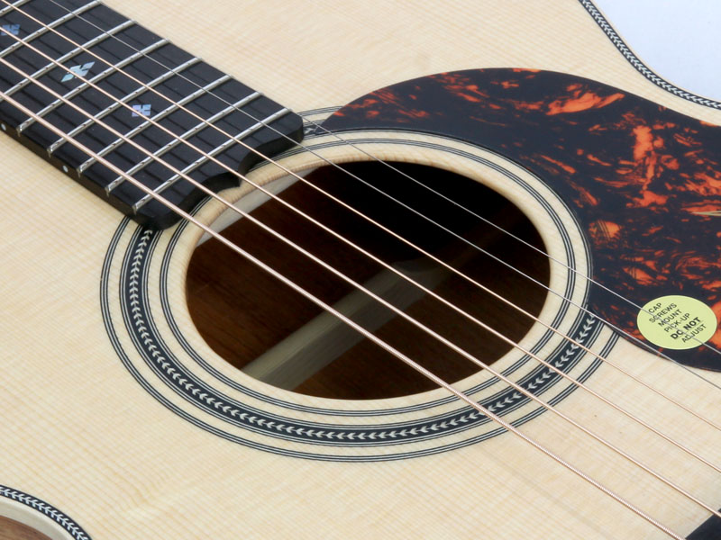 Maton Guitars メイトンギターズ EBG808 Artist