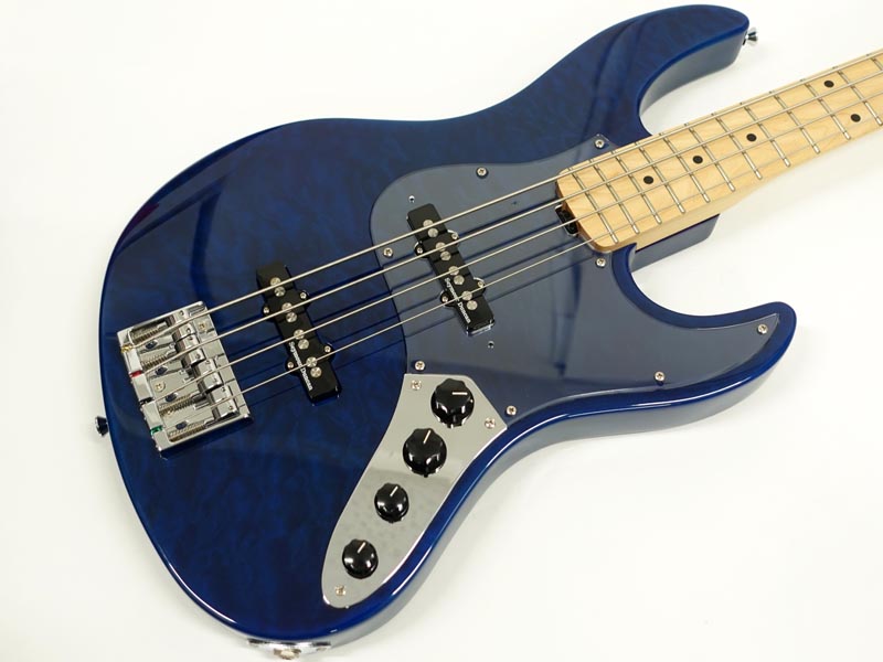 ESP | EDWARDS | E-AM-120M