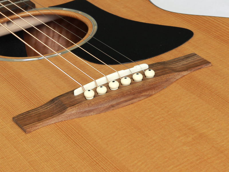 EASTMAN イーストマン PCH1-GACE アコースティックギター