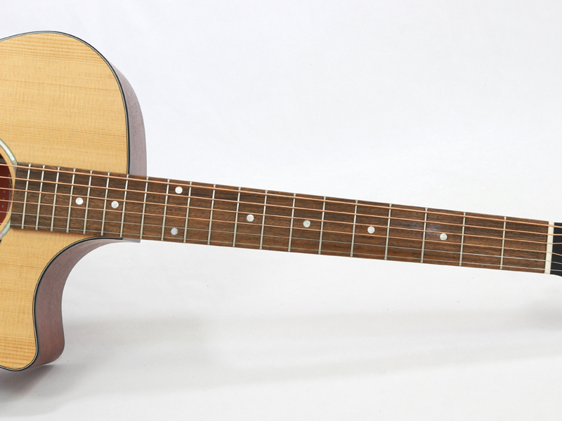 EASTMAN イーストマン PCH1-GACE アコースティックギター