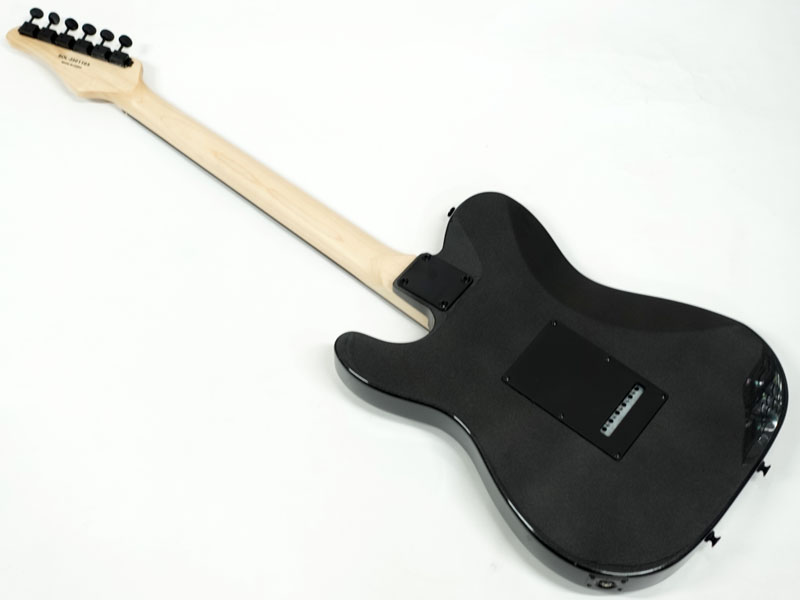 SCHECTER シェクター OL-PT-2H-VTR/R BKM オリエンタルライン
