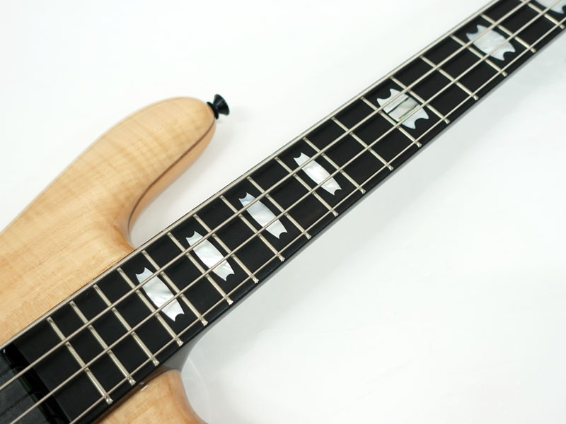 spector ベース　初期チェコ(EURO)製　オールメイプル モデル spector ベース 初期チェコ(EURO)製 オールメイプル モデル