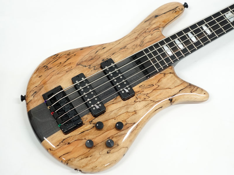 SPECTOR EURO 5 LX SPALTED MAPLE EX-LTD NA/BK LINE | ワタナベ