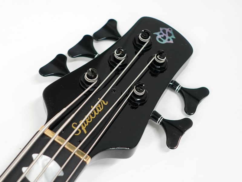SPECTOR EURO 5 LX SPALTED MAPLE EX-LTD NA/BK LINE | ワタナベ