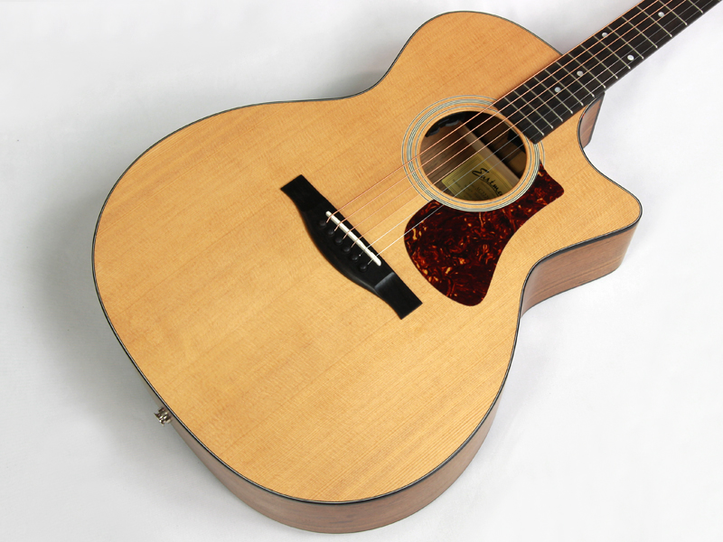 EASTMAN イーストマン AC222CE アコースティックギター エレアコ