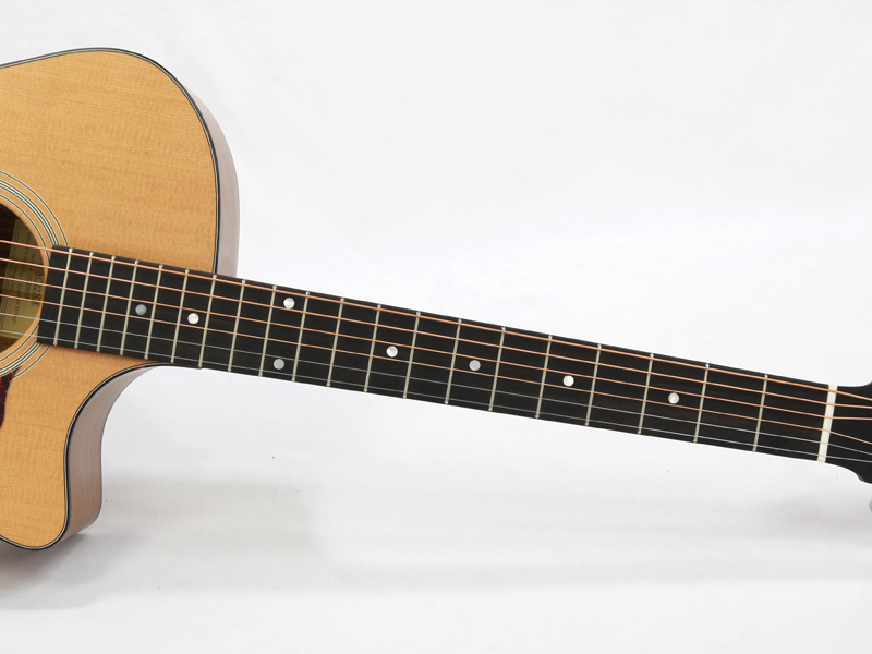 Eastman AC SERIES｜コストパフォーマンスの高さが魅力の