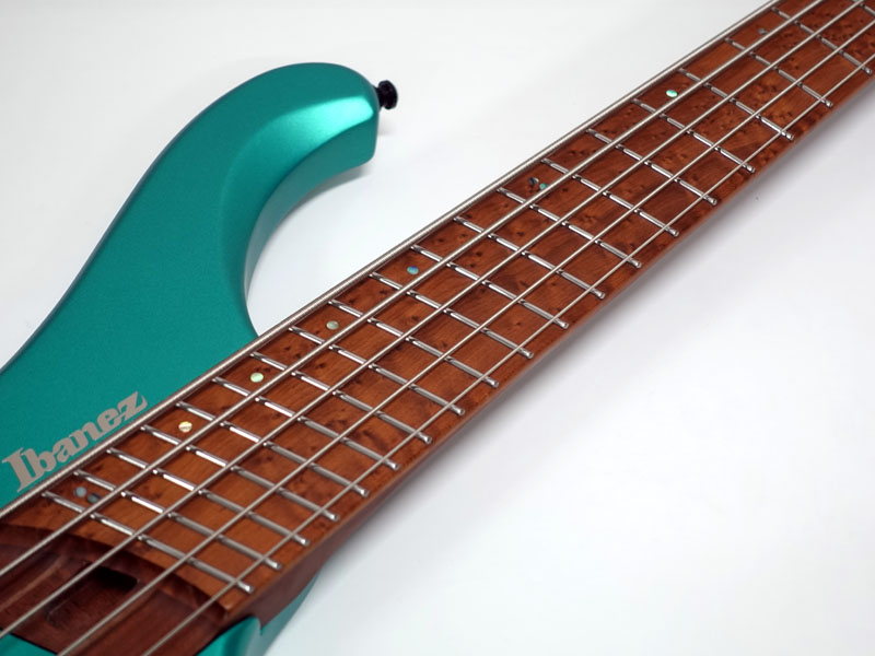 Amazon.com: Ibanez Bass Workshop EHB1005MS Bass Guitar - Sea