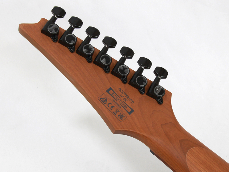 Ibanez ( アイバニーズ ) RGD7521PB-DSF 7弦ギター 送料無料