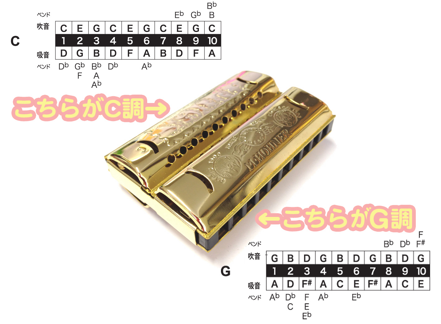 HOHNER ( ホーナー ) ダブルパック 553/40/CG アウトレット ミニ