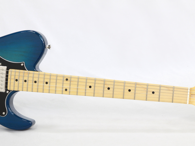 FgN フジゲン Boundary ILIAD BIL2-M-HS TBS 日本製 エレキ